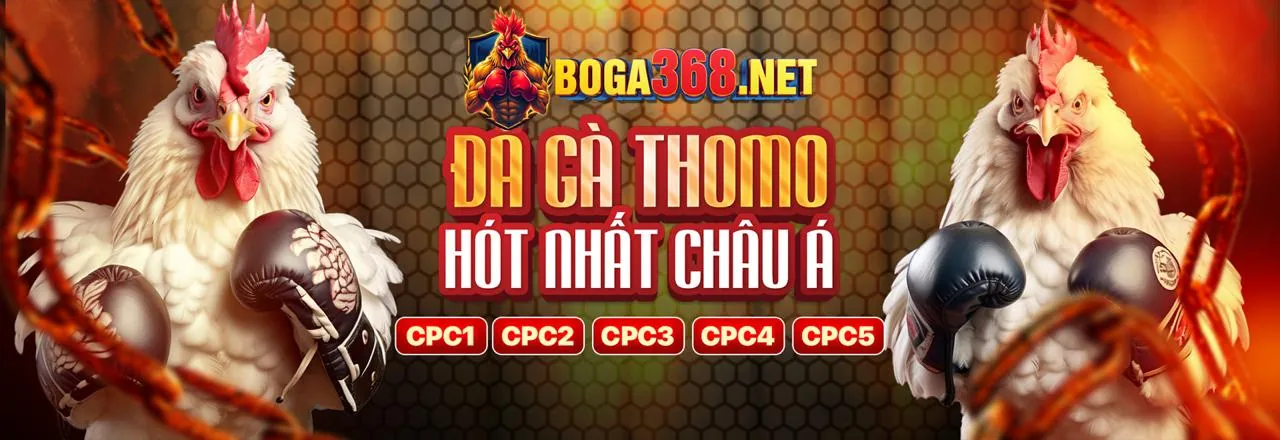 Sân đấu đá gà trực tuyến sôi động tại 9club link